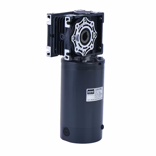 Gpg DC 12V 24V 110V 220V 10W-400W Mciro Brushless Worm Gear Reduction Motor with Brake Electric Motor Manufacturer