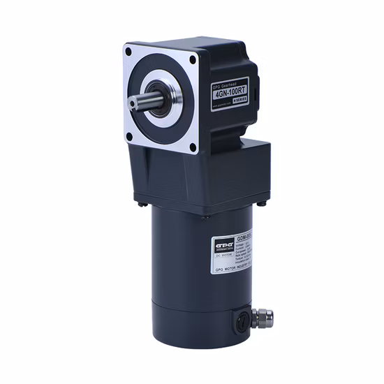 Gpg DC 12V 24V 110V 220V 10W-400W Mciro Brushless Worm Gear Reduction Motor with Brake Electric Motor Manufacturer