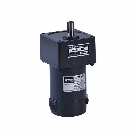 Gpg DC 12V 24V 110V 220V 10W-400W Mciro Brushless Worm Gear Reduction Motor with Brake Electric Motor Manufacturer