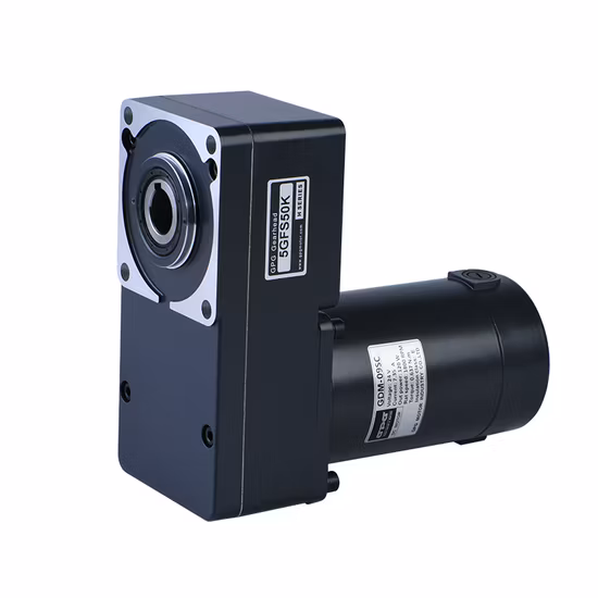 Gpg DC 12V 24V 110V 220V 10W-400W Mciro Brushless Worm Gear Reduction Motor with Brake Electric Motor Manufacturer